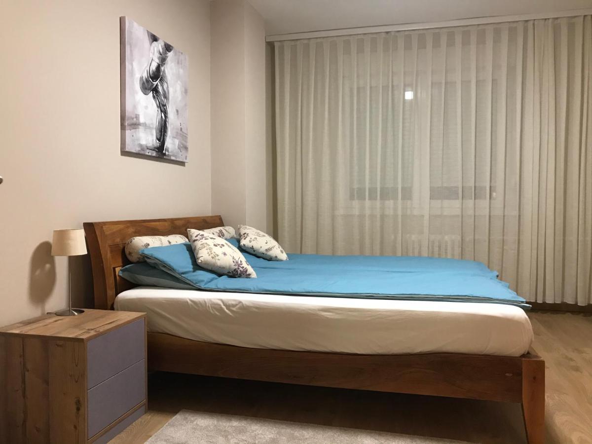 Td City Center Apartment 贝尔格莱德 外观 照片